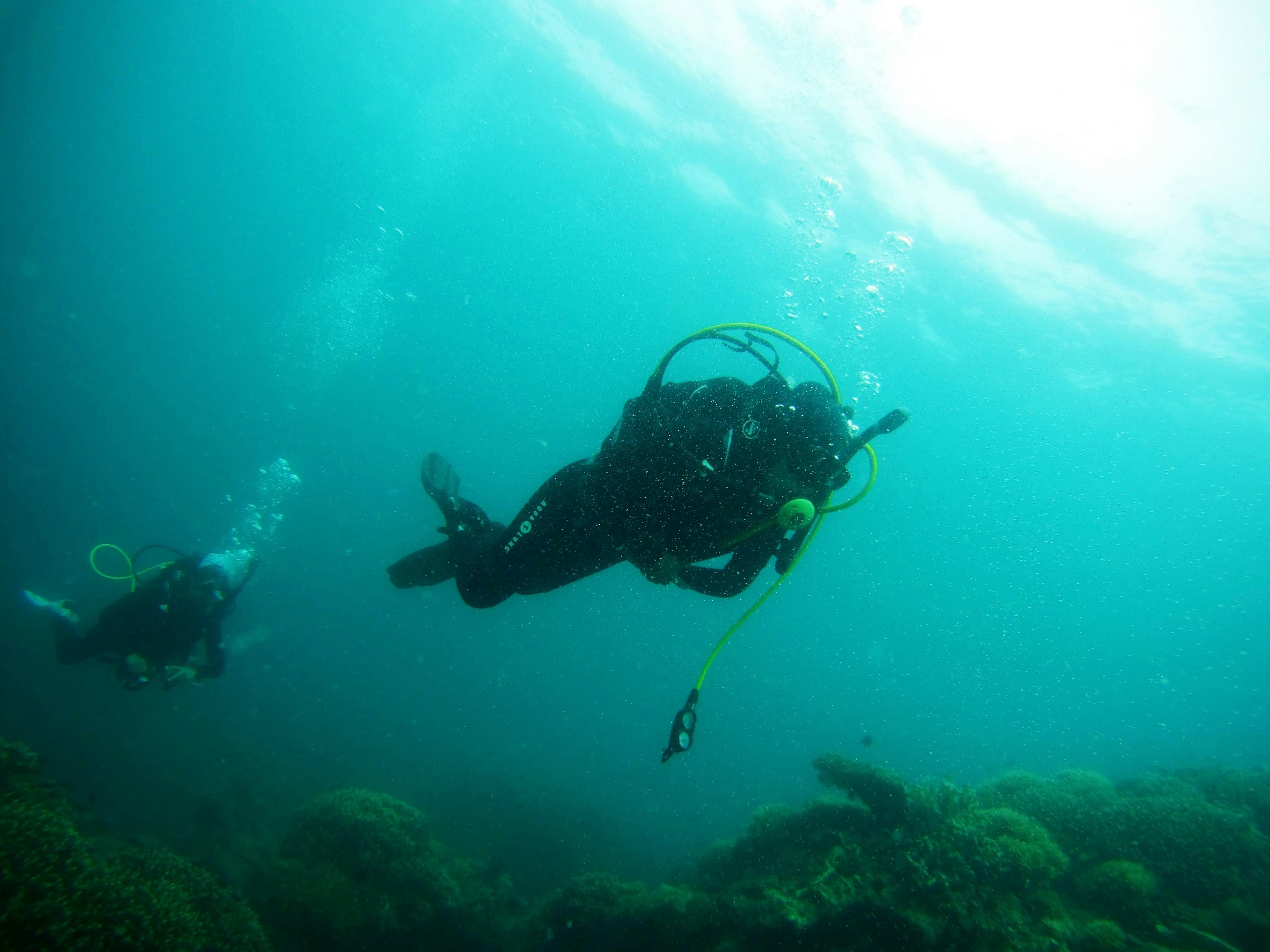 Buddy pair over a reef