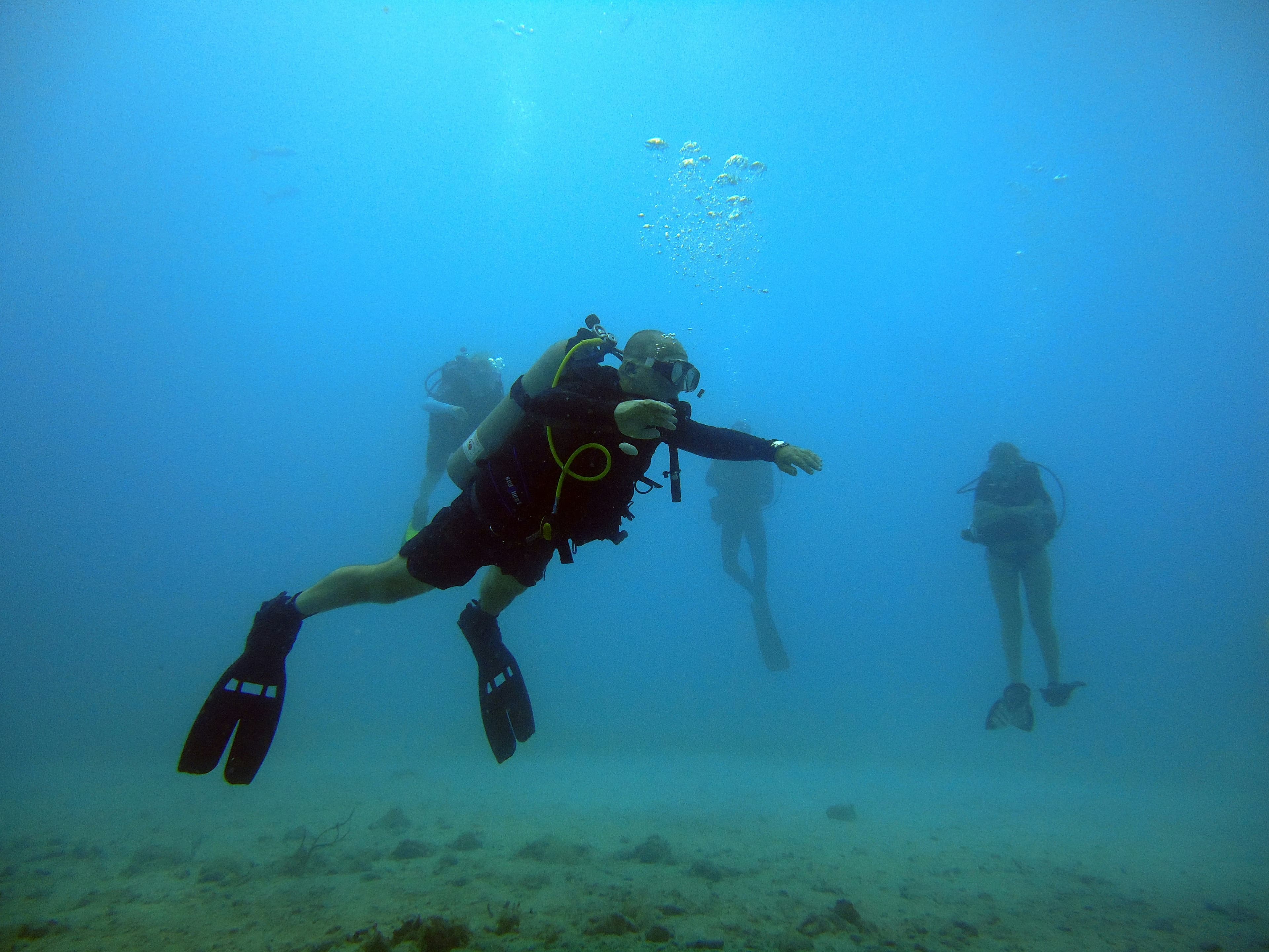Group swimming over sand