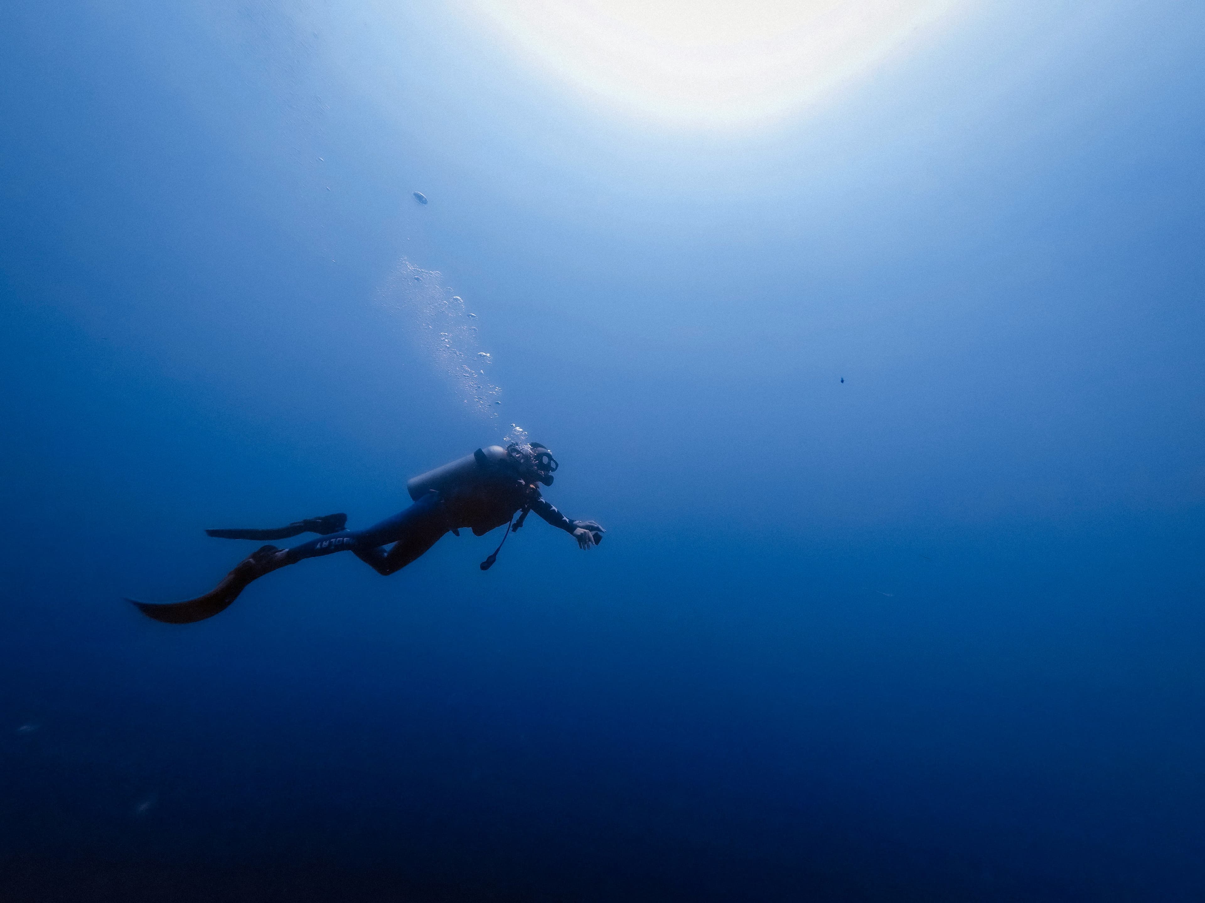 Silhouette of a diver under the sun