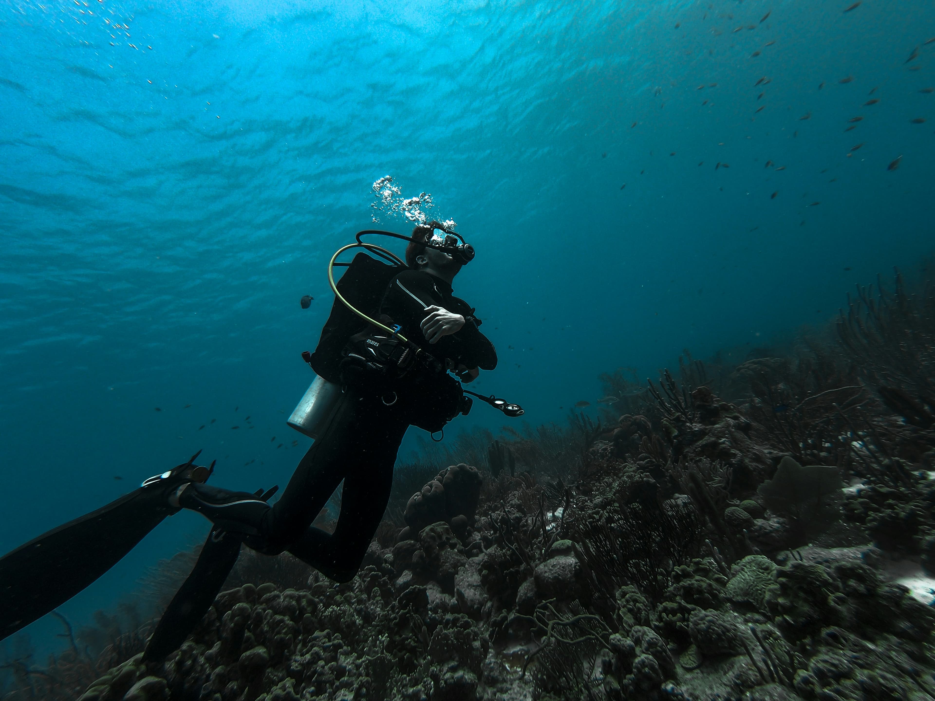 Diver looking up from a reef toward the surface